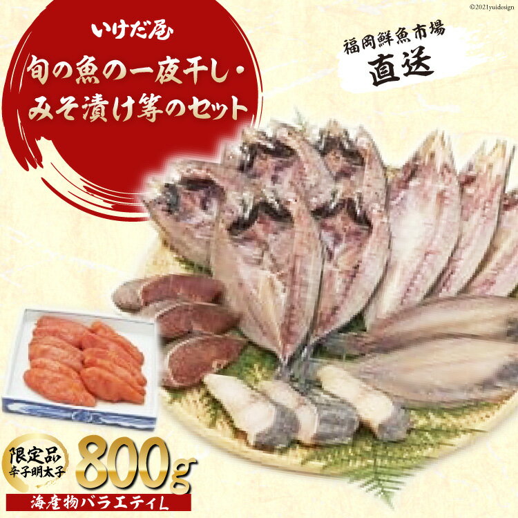 福岡鮮魚市場直送　海産物バラエティL