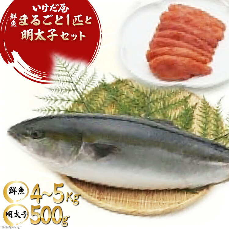 【ふるさと納税】九州産鮮魚まるごと1匹と明太子のセット