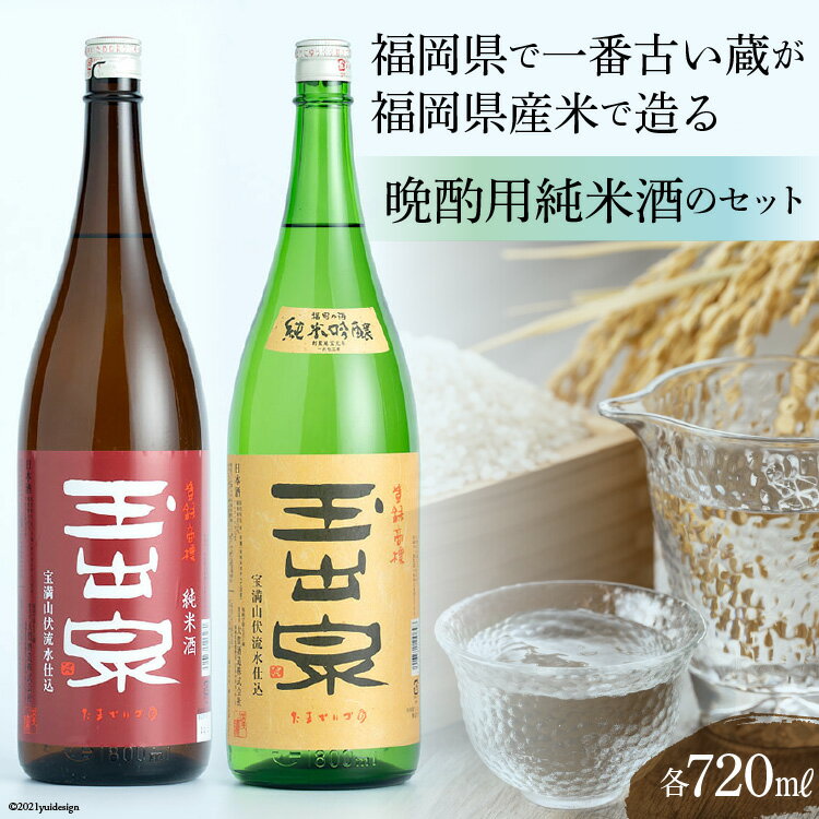 【ふるさと納税】福岡県で一番古い蔵　玉出泉　純米セット