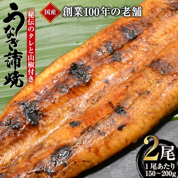 創業100年の味 鰻の蒲焼 2尾 秘伝のタレと山椒付き / 川魚料理 鯉ひろまつ 福岡県 筑紫野市