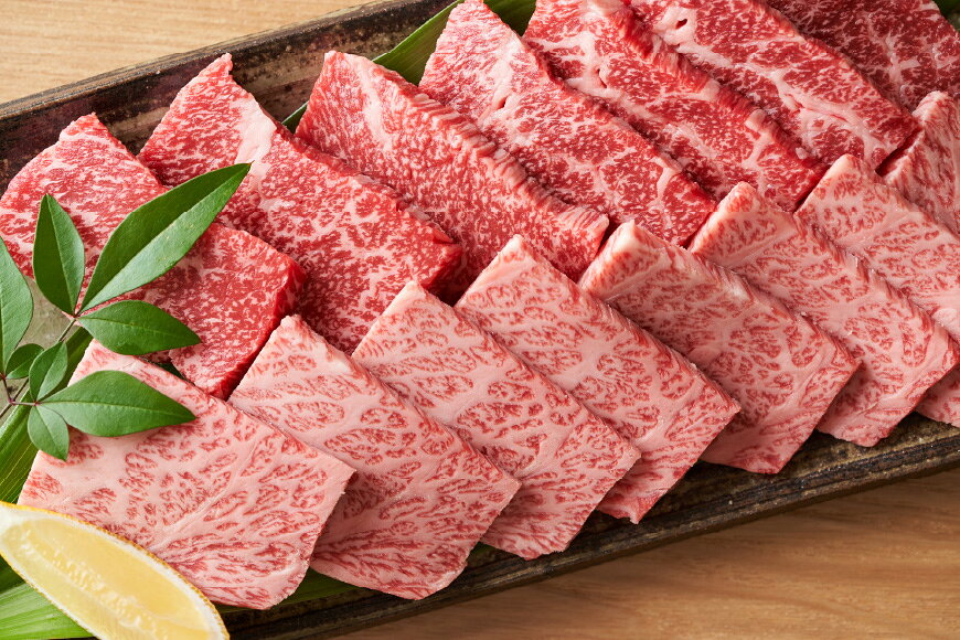 【ふるさと納税】 博多和牛 A4以上 焼肉セット 500g [MEAT PLUS 福岡県 筑紫野市 21760740] 肉 牛肉 和牛 黒毛和牛 焼肉 冷凍 f402176-chikushino-10000228 福岡県筑紫野市 サンプル画像3