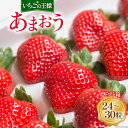 【ふるさと納税】【先行受付】大粒で真っ赤な果肉 溢れ出す果汁 福岡産 あまおう 24-30粒 ギフト ...