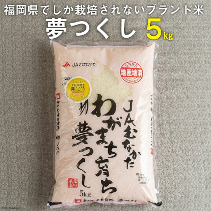 いつもの食卓に 「ちょっと贅沢な」福岡の美味しいお米 福岡の米 夢つくし 5kg / 南国フルーツ / 福岡県 筑紫野市