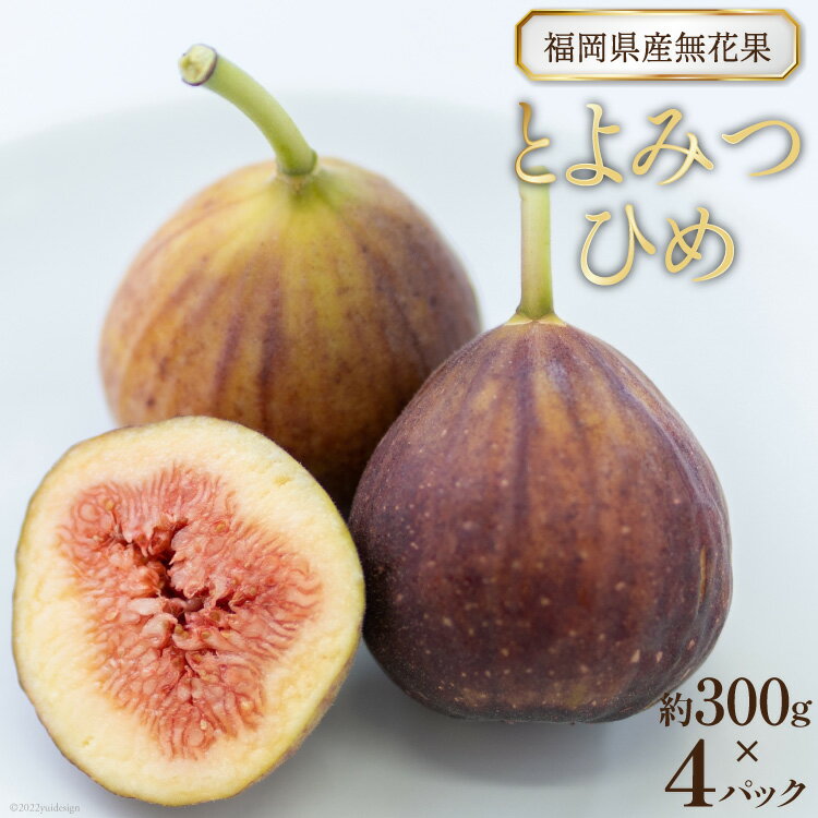 【ふるさと納税】 【先行受付】福岡県産無花果 やわらかく とろけるような甘さと食感 「とよみつひめ」約300g× 4パック [南国フルーツ 福岡県 筑紫野市 21760124]のサムネイル
