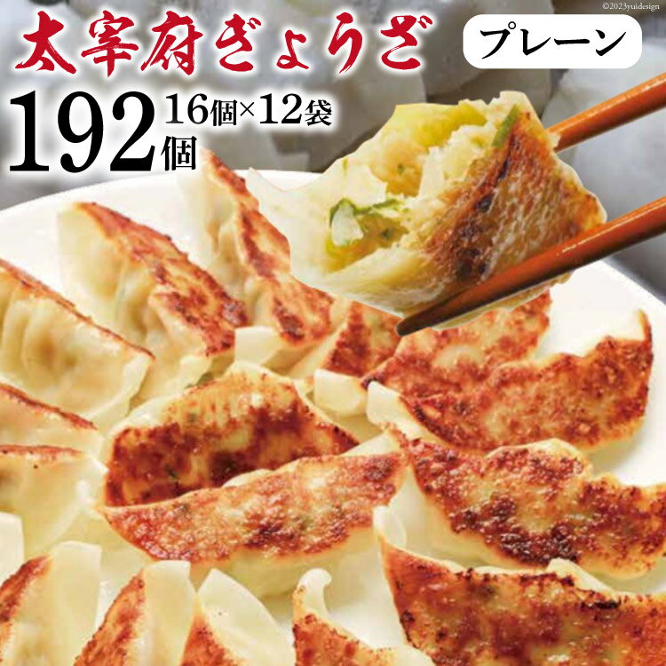 【ふるさと納税】餃子 太宰府ぎょうざ プレーン 計192個 16個 12袋 冷凍 / 太宰府ぎょうざ六九 / 福岡県 筑紫野市 [21760215]