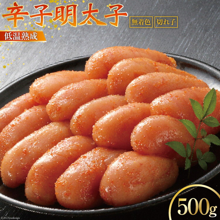 ڤդ뤵Ǽǡۡڤä㲹 ɻ ̵忧 500g [¿̣ ʡ ޻ 21760628]  ̵...