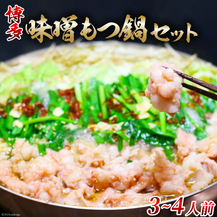 博多味噌もつ鍋 3〜4人前 セット ちゃんぽん麺付 / MEAT PLUS / 福岡県 筑紫野市 [21760372] もつ鍋 モツ鍋 味噌 味 冷凍