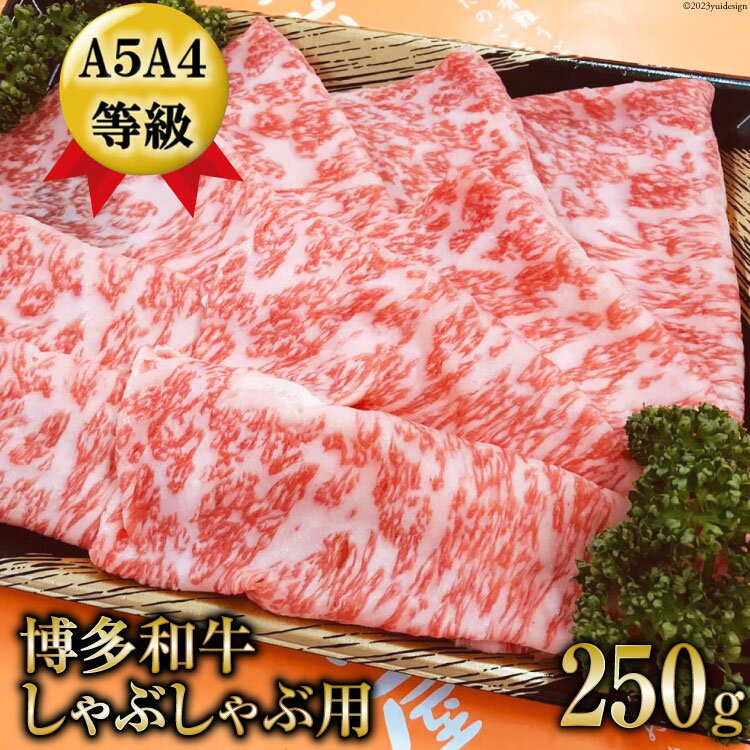 【数量限定】博多和牛 ロース しゃぶしゃぶ用 250g / 筑前屋 / 福岡県 筑紫野市 [21760385] 肉 牛肉 和牛 牛 ビーフ 国産牛 ブランド牛 焼肉 冷凍