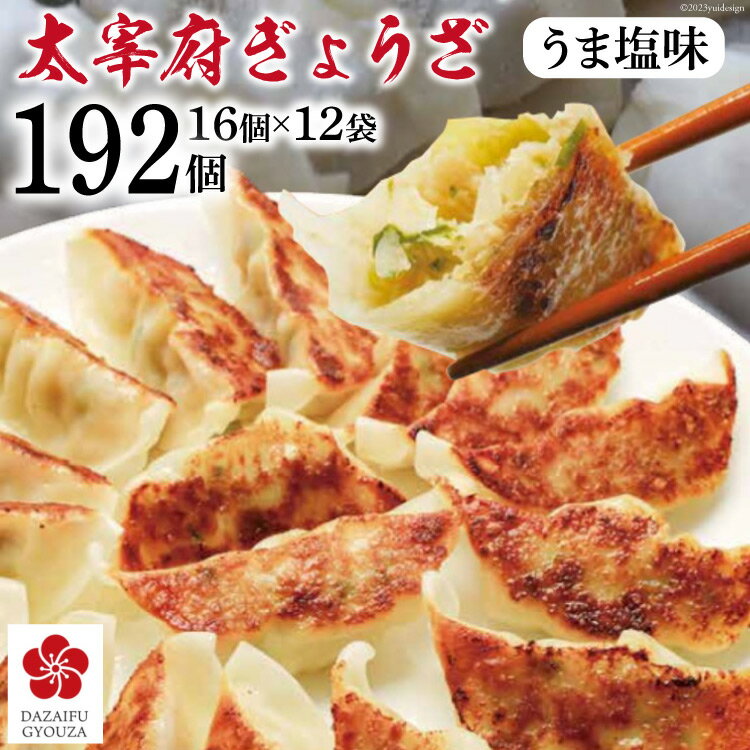 【ふるさと納税】太宰府ぎょうざ《うま塩味》192個(16個×