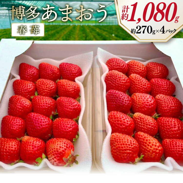 【ふるさと納税】先行受付 博多あまおう 約270g×4 / 