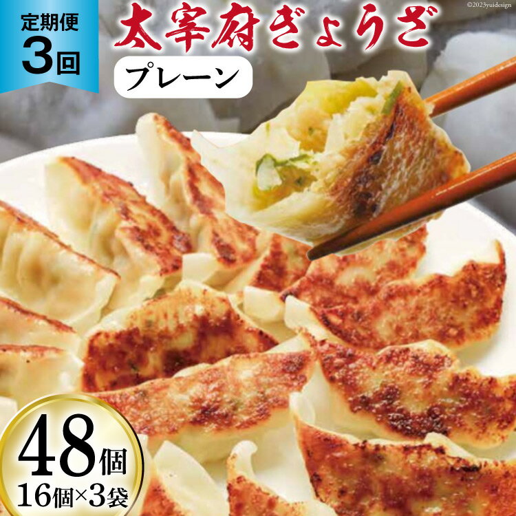 【ふるさと納税】【3回 定期便 】太宰府ぎょうざ プレーン 48個 16個 3袋 3回 総計144個 / 太宰府ぎょうざ六九 / 福岡県 筑紫野市 [21760490] 餃子 ぎょうざ ギョウザ 冷凍 冷凍餃子