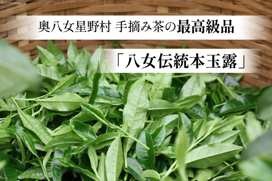 【ふるさと納税】茶 伝統本玉露 50g×1袋 [ビーキューブ 福岡県 筑紫野市 21760519] お茶 緑茶 日本茶 玉露 本玉露 八女茶 煎茶 茶葉 星野茶 奥八女星野村