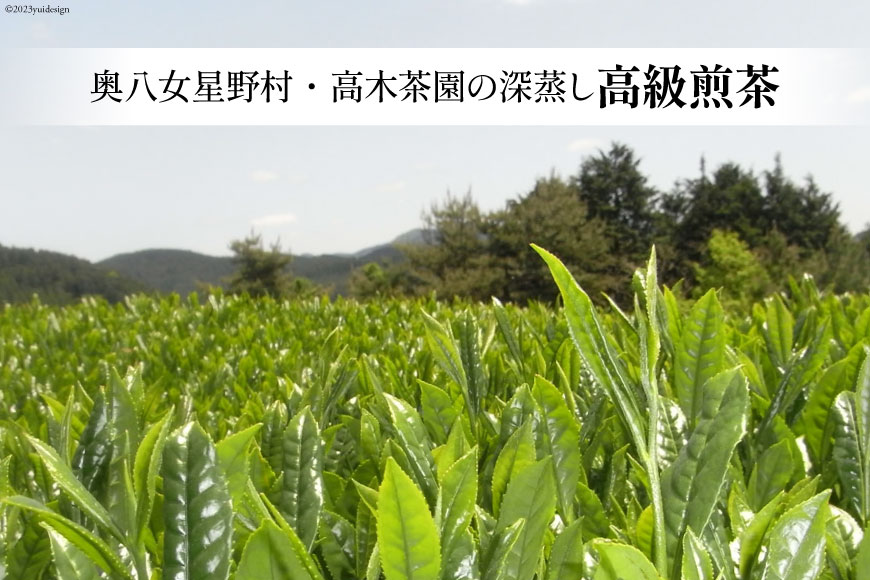 【ふるさと納税】【 6回 定期便 】 茶 深蒸し 高級 煎茶 (深蒸し茶) 100g×1袋×6回 [ ビーキューブ 福岡県 筑紫野市 21760523] お茶 緑茶 日本茶 八女茶 煎茶 茶葉 星野茶 八女 奥八女星野村