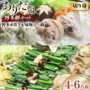 【ふるさと納税】博多の人気鍋2種 セット 九州味噌もつ鍋 2〜3人前 & 博多水炊き(切り身) 2〜3人前 計4〜6人前 [ベネフィス 福岡県 筑紫野市 217...