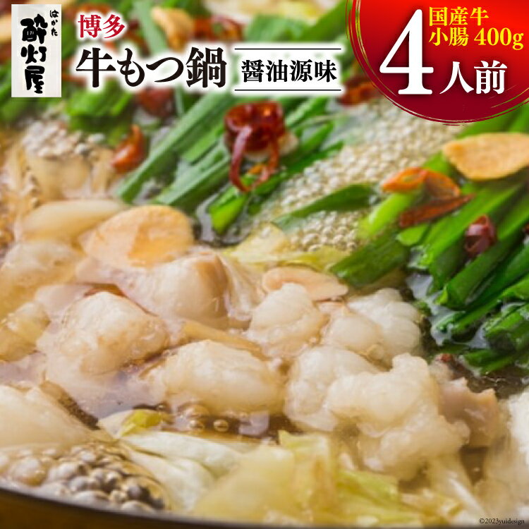 18位! 口コミ数「0件」評価「0」もつ鍋 酔灯屋 博多 牛もつ鍋（醤油源味）4人前 ちゃんぽん麺付き [くしだ企画 福岡県 筑紫野市 21760609] 鍋 モツ鍋 もつ モ･･･ 