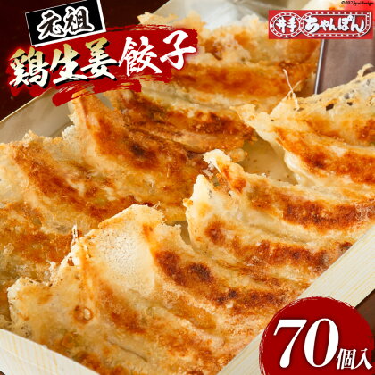 餃子 鶏生姜餃子 45個＋25個 計70個 [ぎょうざの鶴屋 福岡県 筑紫野市 21760709] ぎょうざ ギョウザ 国産 鶏肉 とり肉 生姜 冷凍