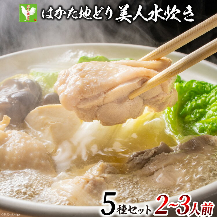 3位! 口コミ数「0件」評価「0」 はかた地どり 美人水炊きセット 鶏肉2種 スープ 麺 コラーゲン 計5種 2～3人前 [MEAT PLUS 福岡県 筑紫野市 217607･･･ 