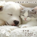 11位! 口コミ数「2件」評価「5」 犬猫保護活動への支援 [NPO法人セブンデイズ 福岡県 筑紫野市 21760723] 保護 動物 犬 猫 犬猫 保護犬 支援 応援