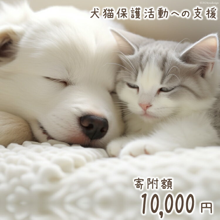 2位! 口コミ数「1件」評価「5」 犬猫保護活動への支援 [NPO法人セブンデイズ 福岡県 筑紫野市 21760725] 保護 動物 犬 猫 犬猫 保護犬 支援 応援