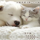 【ふるさと納税】 犬猫保護活動への支援【お礼の品なし】 [NPO法人セブンデイズ 福岡県 筑紫野市 21760725] 保護 動物 犬 猫 犬猫 保護..