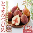 【ふるさと納税】<先行予約受付中!2025年8月下旬~2025年10月下旬に順次発送予定>福岡県ブランドいちじく博多 とよみつひめ (計約1.2kg・300g×4P) いちじく イチジク フルーツ 果物 くだもの 福岡限定<離島配送不可>【ksg1750】【農産物直売所ほたるの里】