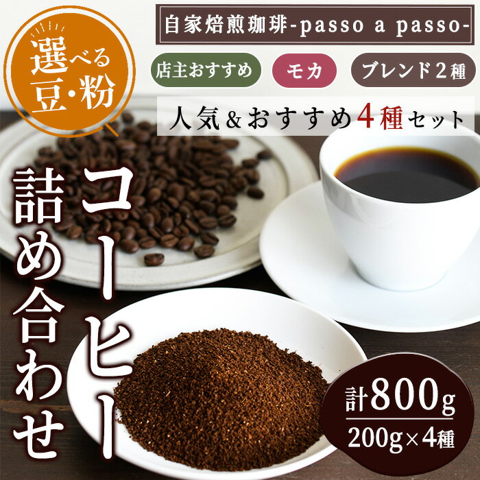 [選べる!粉・豆]人気のブレンドコーヒー2種&モカ&おすすめセット(計800g) 珈琲 コーヒー豆 コーヒー粉 珈琲粉 珈琲豆 ブラジル コロンビア グアテマラ ケニア インドネシア 常温 常温保存 店主のおすすめ[ksg0027][自家焙煎珈琲 passo a passo]