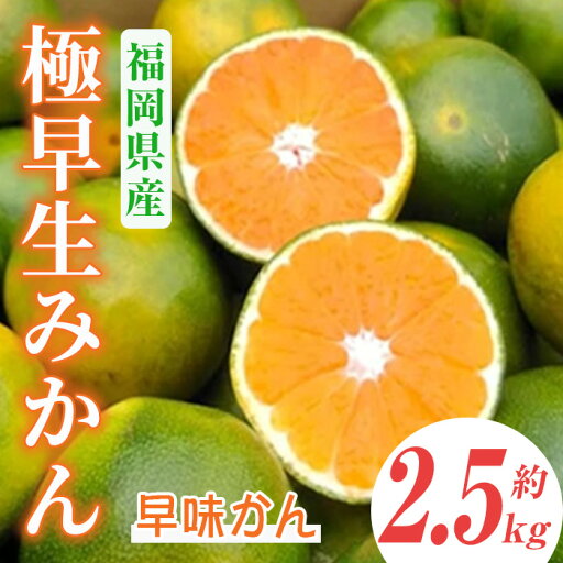 【ふるさと納税】<先行予約受付中!2025年9月中旬~2025年9月下旬に順次発送予定>極早生みかん 早味かん(約2.5kg)みかん ミカン フルーツ 果物 くだもの 柑橘 福岡限定 オリジナルブランド<離島配送不可>【ksg0117】【南国フルーツ】 【ふるさと納税】<先行予約受付中!2025年9月中旬~2025年9月下旬に順次発送予定>極早生みかん 早味かん(約2.5kg)みかん ミカン フルーツ 果物 くだもの 柑橘 福岡限定 オリジナルブランド<離島配送不可>【ksg0117】【南国フルーツ】