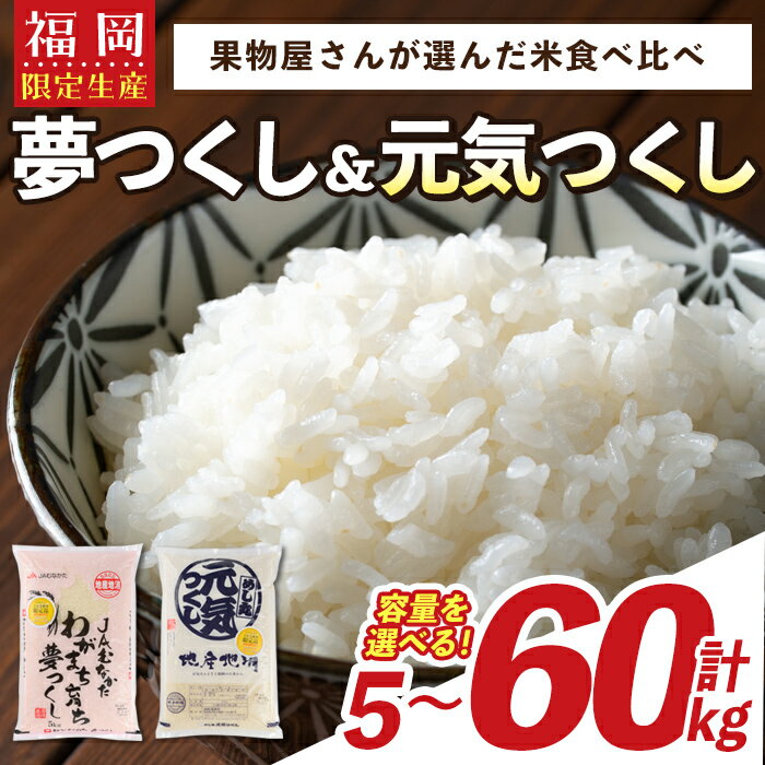 【ふるさと納税】＜容量を選べる＞果物屋さんが選んだ米食べ比べ「夢つくし&元気つくし」(計5kg・10kg・30kg・60kg) お米 白米 5キロ 10キロ 30キロ 60キロ 定期便 ごはん ご飯 常温 常温保存【ksg0165・ksg0168・ksg0571・ksg0589】【南国フルーツ】