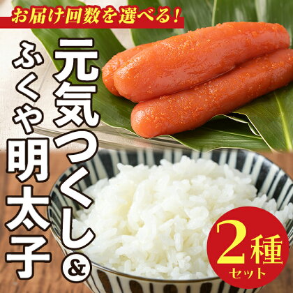 ＜お届け回数を選べる＞ご飯のおともセット(精米元気つくし2.5kg＋明太子100g)米 お米 白米 コシヒカリ キヌヒカリ めんたいこ ふくや たらこ ごはんのお供 魚卵 魚介 海鮮 ＜離島配送不可＞【ksg0170・ksg0601】【南国フルーツ】