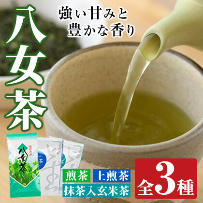 福岡県産八女煎茶とティーバッグ(上煎茶・抹茶入り玄米茶)詰め合わせ(計650g) お茶 緑茶 八女茶 小分け 常温 常温保存 【ksg0214】【お茶の星陽園】