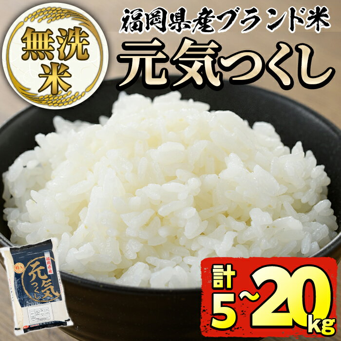 [容量が選べる]福岡県産ブランド米「元気つくし」無洗米(5kg or 10kg or 20kg) お米 5キロ 10キロ 20キロ ごはん ご飯 常温 常温保存[ksg0377・ksg0379・ksg0381][朝ごはん本舗]