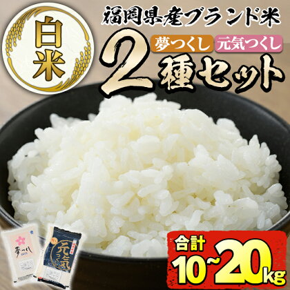 ＜容量が選べる＞福岡県産米食べ比べ＜白米＞「夢つくし」と「元気つくし」セット(計10kg or 20kg) お米 10キロ 20キロ ごはん ご飯 常温 常温保存【ksg0413・ksg0382】【朝ごはん本舗】