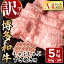 ڤդ뤵Ǽǡۡ¿µ ֤֤Ƥ(Х顦)(5kg500g10P)  µ  Ƥ ֤ ΥԲġksg0519ۡMEATPLUS