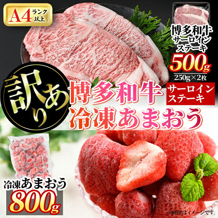 ڤդ뤵Ǽǡۡꡦʳ¿µ󥹥ơ(2硦500g)&ढޤ(800g)å  µ   ...