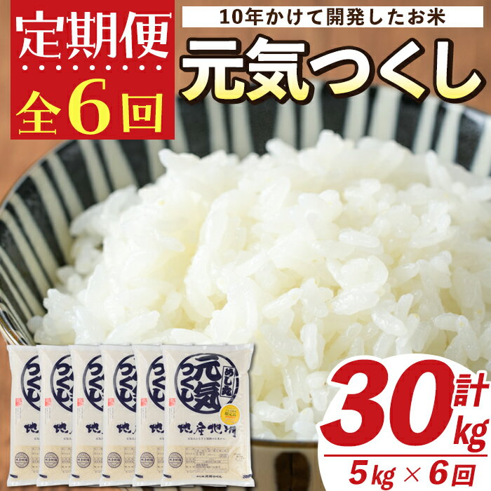 【ふるさと納税】＜定期便・全6回(連続)＞元気つくし(総量30kg・5kg×6回) 米 こめ 30キロ ご飯 白米 常温 常温保存【ksg0577】【南国フルーツ】のサムネイル