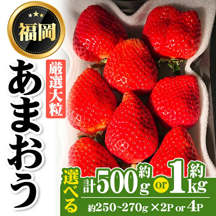 【ふるさと納税】<先行予約受付中・数量限定・容量が選べる>2026年2月からお届け!厳選大粒あまおう(計約500g or 1kg) 苺 いちご イチゴ フルーツ 果物 くだもの 手作り スイーツ 冷蔵 <離島配送不可>【ksg1249・ksg1677】【THE FARM_strawberry】