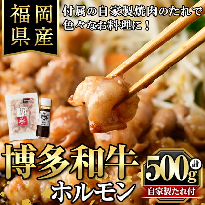 博多和牛もつ鍋用ホルモン 自家製焼肉のたれ付(500g) 牛肉 和牛 博多和牛 国産 ホルモン もつ モツ もつ鍋＜離島配送不可＞【ksg1291】【くしだ企画】