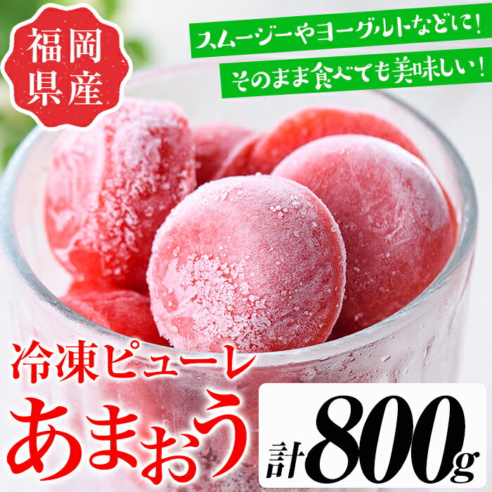 いちごの冷凍ピューレ(計800g) 苺 フルーツ 果物 数量限定 あまおう95%使用[離島配送不可][ksg1321][よっちゃんファーム]