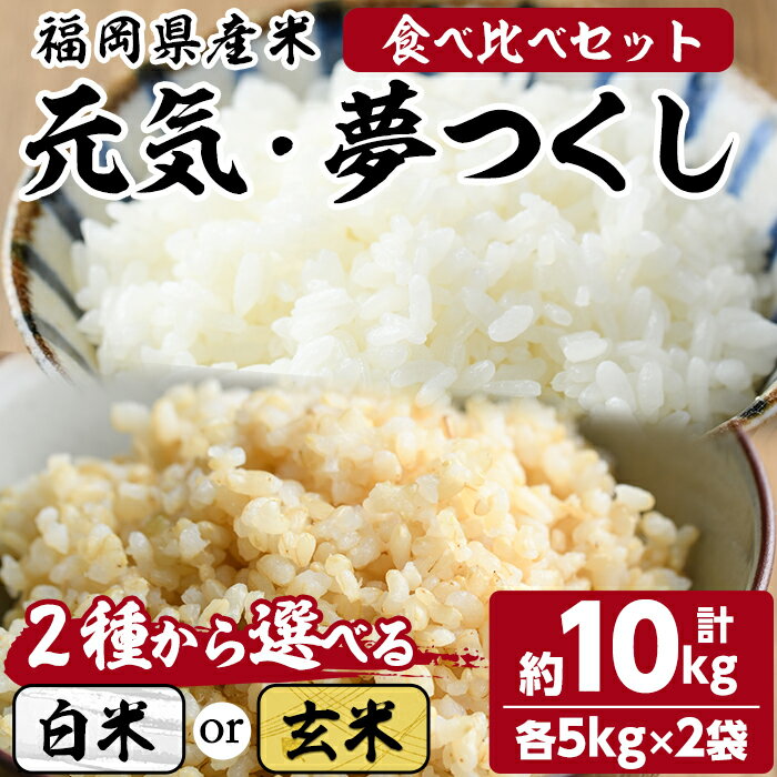 [選べる白米 or 玄米]元気つくし・夢つくしの食べ比べセット(計10kg・各5kg×2袋)お米 こめ コメ 精米 玄米 ブランド米 10キロ ごはん ご飯 常温 常温保存[ksg1332][おどろきっちん]