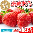 【ふるさと納税】<容量を選べる・先行予約受付中!2026年1月より順次発送予定>福岡県産 あまおう(計約500g~1.5kg)いちご 苺 フルーツ 果物 くだもの 冷蔵 <離島配送不可>【ksg1489・ksg1490・ksg1806】【エフビーネット】