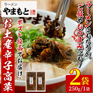 【ふるさと納税】<ポスト投函でお届け>お土産辛子高菜(計2袋) 漬物 高菜 おつまみ 常温 常温保存 小分け【ksg1545】【ラーメンやまもと春日本店】