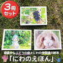 【ふるさと納税】絵本「にわのえほん」(3冊セット) 絵本 えほん 本 ほん 子育て 絵本セット 読み聞かせ 教育 親子 子供 こども プレゼント ギフト 贈り物 息子 娘 幼児 孫 ひ孫 贈答 【ksg1686】【羊のしっぽ】