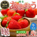 【ふるさと納税】<容量を選べる・先行予約受付中!2025年12月上旬~2026年1月下旬に順次発送予定> 博多あまおう・冬 (計約500g ~1.5kg) いちご 苺 フルーツ 果物 くだもの 福岡限定 家庭用 冷蔵<離島配送不可>【ksg1736・ksg1737・ksg1738】【農産物直売所ほたるの里】