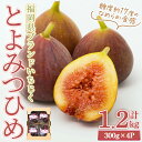 【ふるさと納税】<先行予約受付中!2025年8月下旬~2025年10月下旬に順次発送予定>福岡県ブランドいちじく博多 とよみつひめ (計約1.2kg・300g×4P) いちじく イチジク フルーツ 果物 くだもの 福岡限定<離島配送不可>【ksg1750】【農産物直売所ほたるの里】