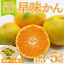【ふるさと納税】<先行予約受付中!2025年9月中旬~10月下旬に順次発送予定>福岡ブランドみかん 早味かん (約計3kg~5kg) みかん ミカン フルーツ 果物 くだもの 柑橘 福岡限定 オリジナルブランド <離島配送不可>【ksg1759・ksg1760】【農産物直売所ほたるの里】