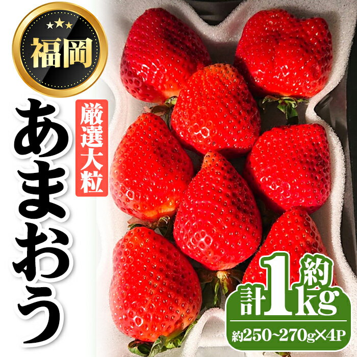 【ふるさと納税】＜先行予約受付中・数量限定＞2025年2月からお届け！厳選大粒あまおう(計約1kg・約250～270g×4P) 苺 いちご イチゴ フルーツ 果物 くだもの 手作り スイーツ ＜離島配送不可＞【ksg1249】【THE FARM_strawberry】のサムネイル