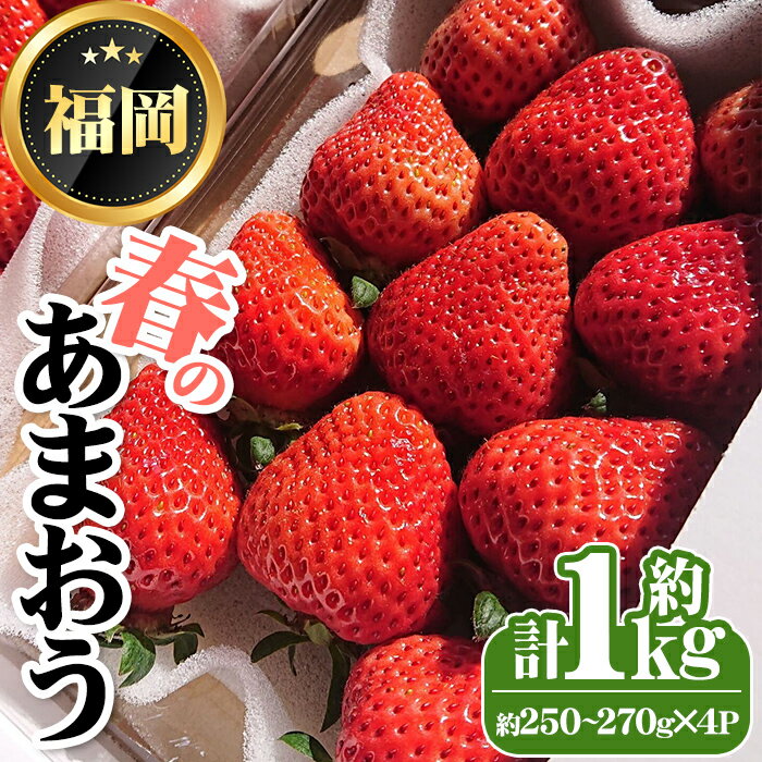 [先行予約受付中・数量限定]2026年3月からお届け!春のあまおう(計約1kg・約250〜270g×4P) 苺 いちご イチゴ フルーツ 果物 くだもの 手作り スイーツ [離島配送不可][ksg1250][THE FARM_strawberry]
