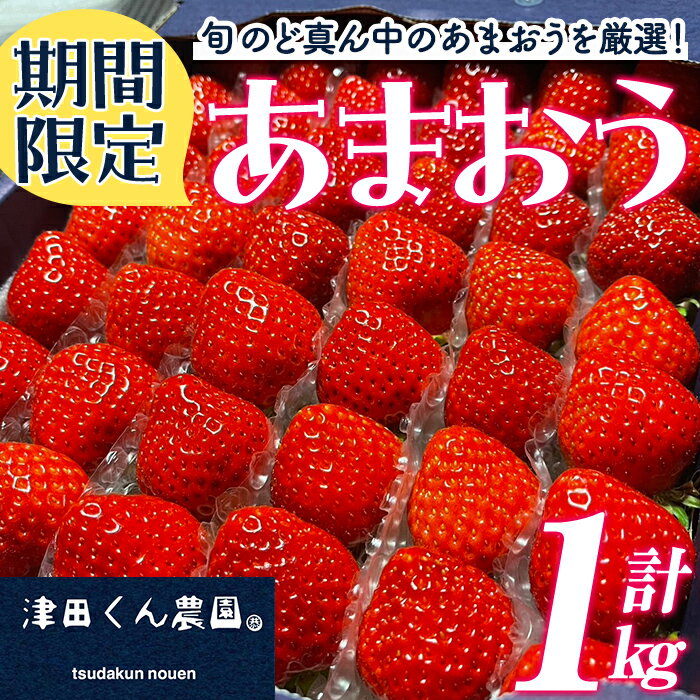 6位! 口コミ数「0件」評価「0」＜先行予約受付中！2025年1月上旬から2025年3月中旬にかけて順次発送予定＞福岡県産いちご 津田くん農園のあまおう(計約1kg) 苺 い･･･ 