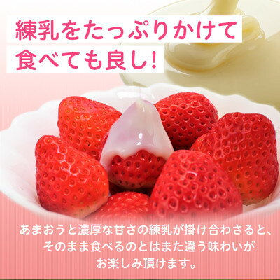 【ふるさと納税】フルーツ専門店が選んだ「あまおう苺」(大野城市)(2パック～)【配送不可地域：離島】【G1083237】 f402192-onojo-10000084 福岡県大野城市 サンプル画像3