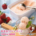 【ふるさと納税】こだわり!福岡産あまおうジェラート 1000ml(大野城市)【配送不可地域:離島】【1110600】